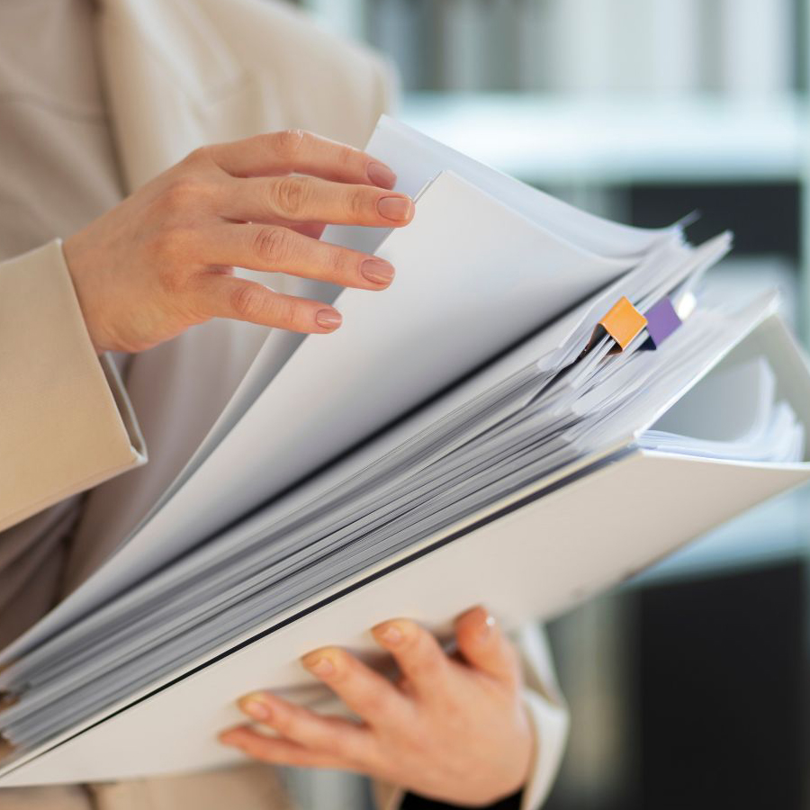 fondo (962 x 922 px) - 1